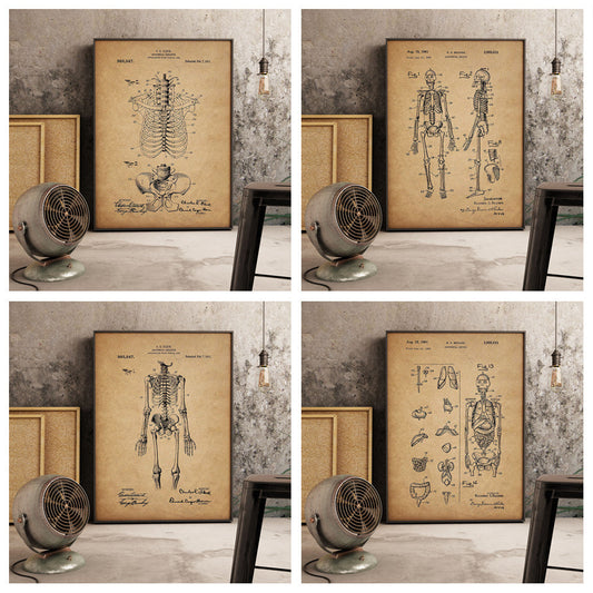 Vintage Skeleton Photo Wall Decor Medical Anatomy Poster